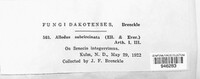 Puccinia subcircinata image